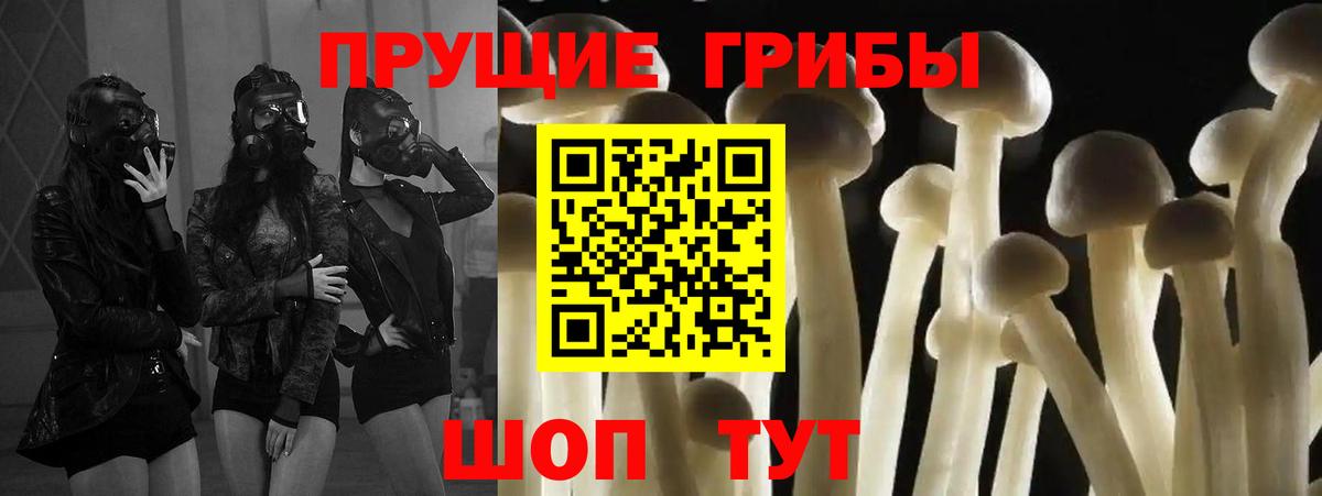 Псилоцибиновые грибы Cubensis  Псилоцибиновые грибы мицелий  Вход с VPN  Новодвинск 